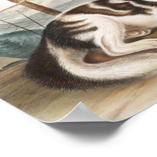 Illustratie van de hazeldragende Indiase hond (Can Poster (Hoek)