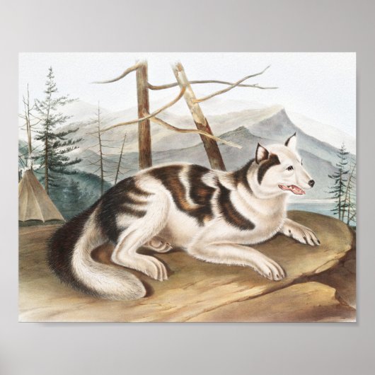 Illustratie van de hazeldragende Indiase hond (Can Poster (Voorkant)