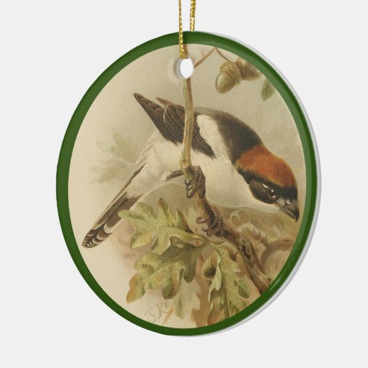  illustratie van de houtsproeier keramisch ornament (Links)