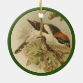  illustratie van de houtsproeier keramisch ornament (Achterkant)