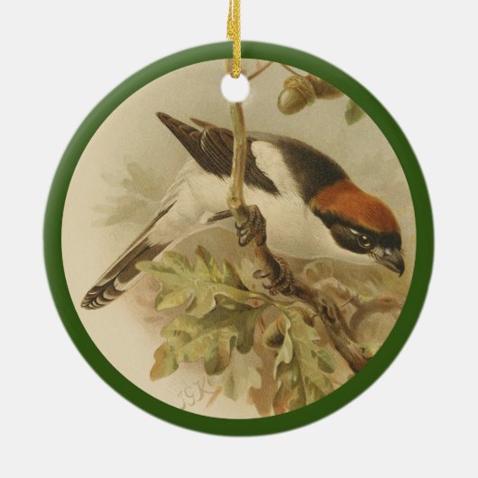  illustratie van de houtsproeier keramisch ornament (Achterkant)