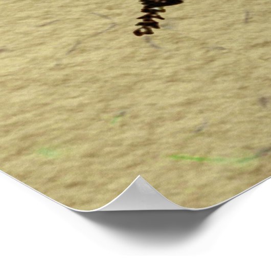 Illustratie van de insekte van de werker poster (Hoek)