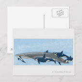 Illustratie van de Killer Whales die in een groep  Briefkaart (Voorkant / Achterkant)