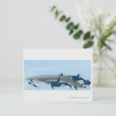 Illustratie van de Killer Whales die in een groep  Briefkaart (Staand voorkant)