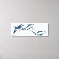 Illustratie van de Killer Whales (Orcinus orca)