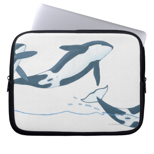 Illustratie van de Killer Whales (Orcinus orca) Laptop Sleeve (Voorkant)