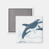Illustratie van de Killer Whales (Orcinus orca) Magneet (Voorkant / Achterkant)