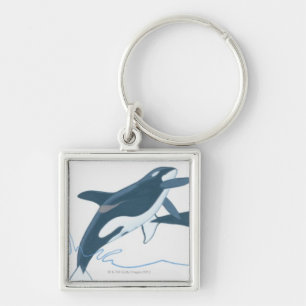 Illustratie van de Killer Whales (Orcinus orca) Sleutelhanger