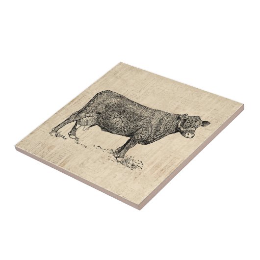 Illustratie van de Koe van het land Tegeltje (Zijkant)