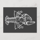 Illustratie van de kreeft wit op zwart briefkaart (Voorkant)
