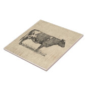 illustratie van de Kunst van de Koe met de Achter Tegeltje (Zijkant)