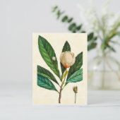  illustratie van de Loblolly Baai met botanische a Briefkaart (Staand voorkant)