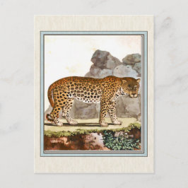 illustratie van de luipaard briefkaart