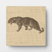  illustratie van de luipaard fotoplaat (Voorkant)