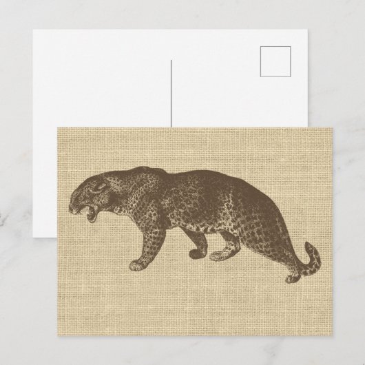 Illustratie van de  luipaard over de overlapping briefkaart (Voorkant / Achterkant)