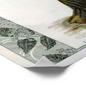 Illustratie van de  Mode Lady Feather Boa Pet Poster (Hoek)