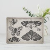 Illustratie van de mottenvlinder (65) kaart (Staand voorkant)