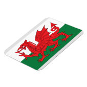 Illustratie van de nationale vlag van Wales, met r Magneet (Linkerzijde)