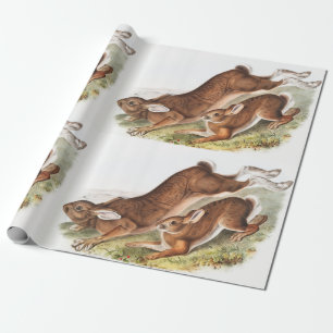 Illustratie van de noordelijke haas (Lepus America Cadeaupapier