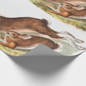 Illustratie van de noordelijke haas (Lepus America Cadeaupapier (Hoek)