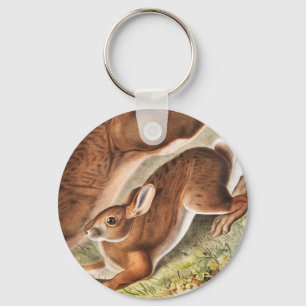 Illustratie van de noordelijke haas (Lepus America Sleutelhanger