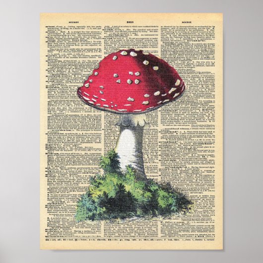  illustratie van de paddenstoelwoordenboek pagina poster (Voorkant)