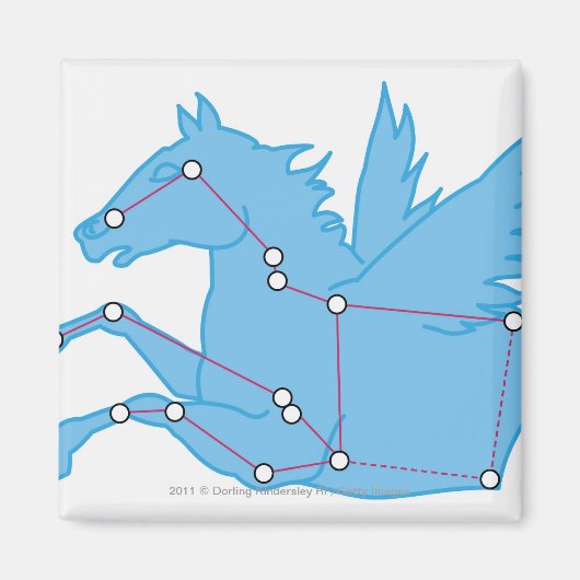 Illustratie van de Pegasus-constellatie Magneet (Voorkant)