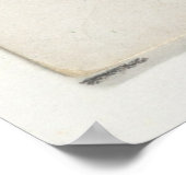  illustratie van de Pompano-vis Poster (Hoek)