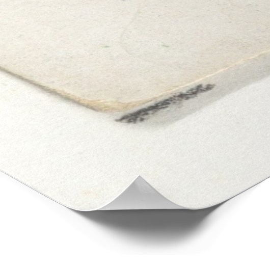  illustratie van de Pompano-vis Poster (Hoek)