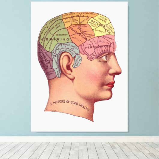 Illustratie van de  remfunctie canvas afdruk (Insitu (Houten vloer))