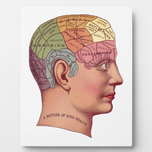 Illustratie van de remfunctie fotoplaat (Voorkant)