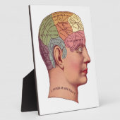 Illustratie van de remfunctie fotoplaat (Zijkant)