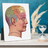 Illustratie van de remfunctie fotoplaat (Zijkant)