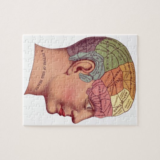 Illustratie van de remfunctie legpuzzel (Horizontaal)