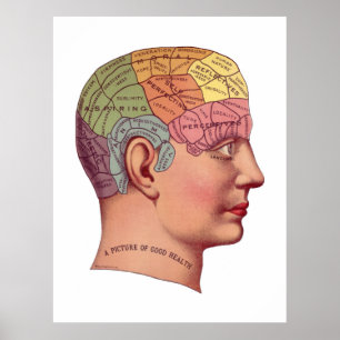 Illustratie van de  remfunctie poster