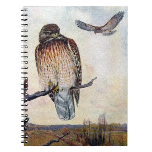  illustratie van de Rode schouder Hawks Notitieboek (Voorkant)