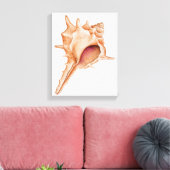Illustratie van de schelp van Murex Canvas Afdruk (Insitu (Woonkamer))