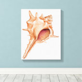 Illustratie van de schelp van Murex Canvas Afdruk (Insitu (Houten vloer))