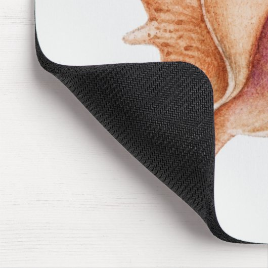 Illustratie van de schelp van Murex Muismat (Hoek)