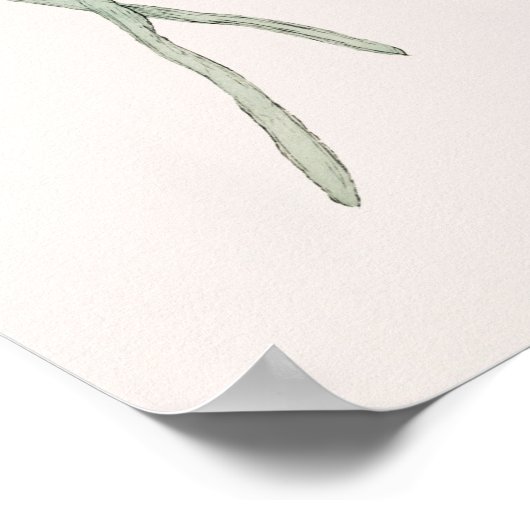  illustratie van de schildpad poster (Hoek)