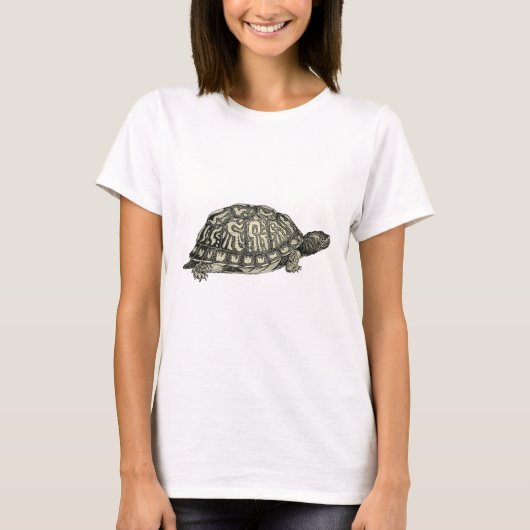  illustratie van de schildpad t-shirt (Voorkant)