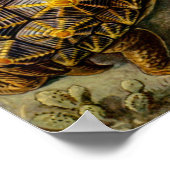  illustratie van de schildpadden poster (Hoek)