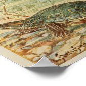  illustratie van de schildpadden poster (Hoek)