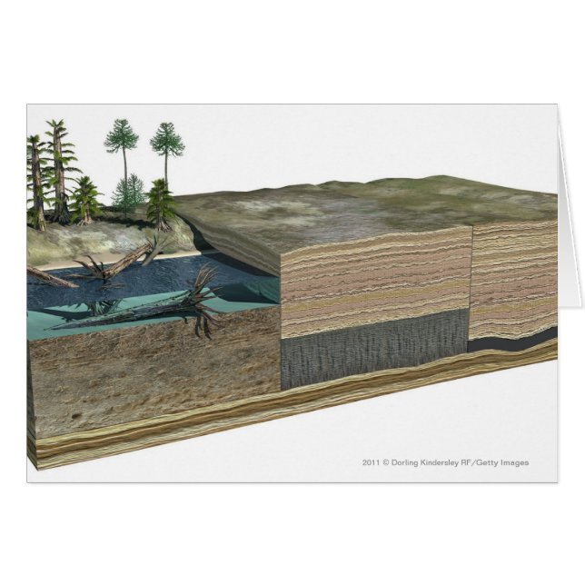 Illustratie van de steenkoolvorming (Voorkant Horizontaal)