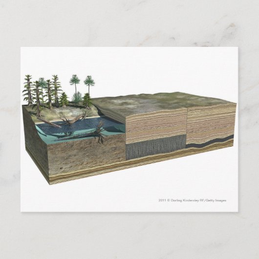 Illustratie van de steenkoolvorming briefkaart (Voorkant)