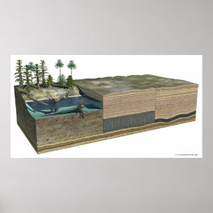 Illustratie van de steenkoolvorming poster