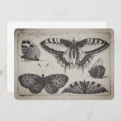 Illustratie van de  Swallowtail Butterfly (60) Kaart (Voorkant / Achterkant)