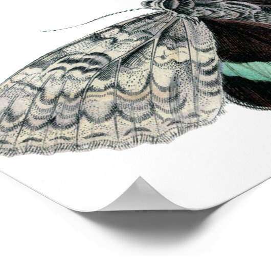  illustratie van de Typografische Mode Poster (Hoek)