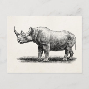 Illustratie van de Vintage Rhinoceros Illustratie Briefkaart