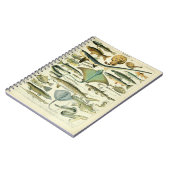 Illustratie van de Vintage van Poissons Notitieboek (Linkerzijde)